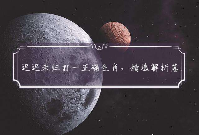 迟迟未归打一正确生肖，精选解析落实