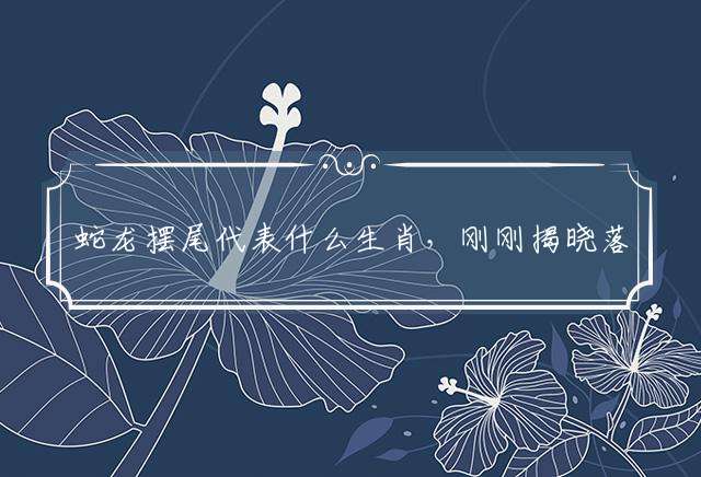 蛇龙摆尾代表什么生肖，刚刚揭晓落实