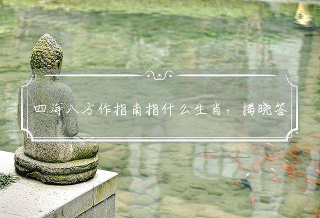 四海八方作指南指什么生肖，揭晓答案落实