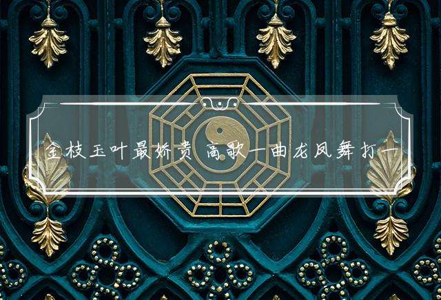 金枝玉叶最娇贵 高歌一曲龙凤舞打一生肖，答案落实落实