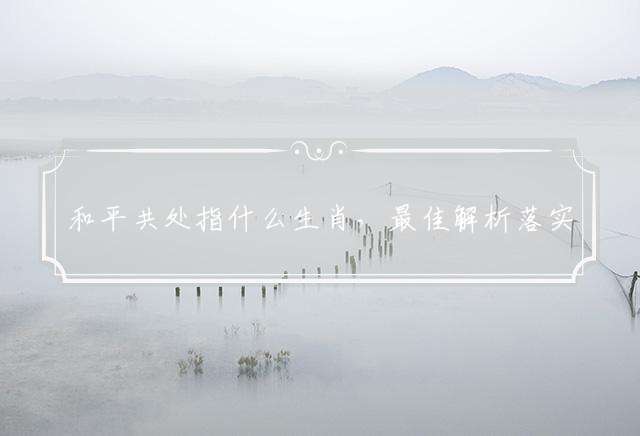 和平共处指什么生肖，最佳解析落实