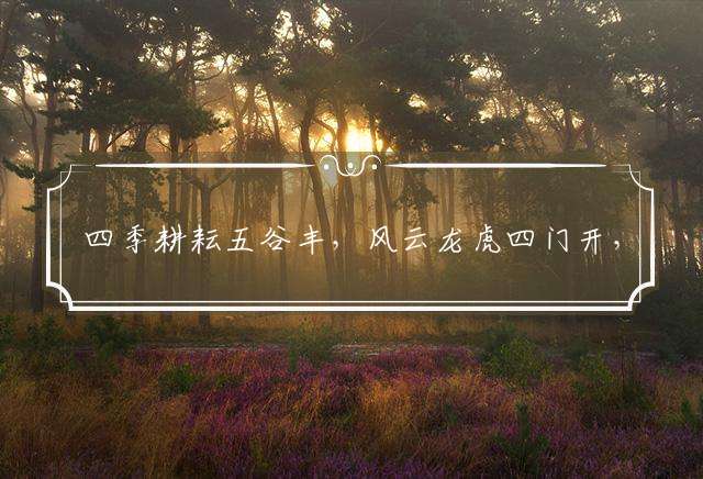 四季耕耘五谷丰，风云龙虎四门开，风调雨顺报吉昌，一言九鼎万民欢是指什么生肖：精选成语解释释义落实