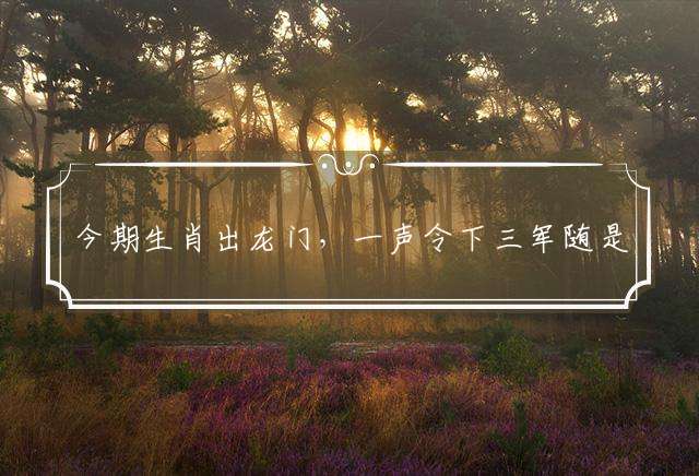 今期生肖出龙门，一声令下三军随是指什么生肖:详细解释落实