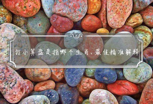 打小算盘是指哪个生肖,最佳精准解释含义