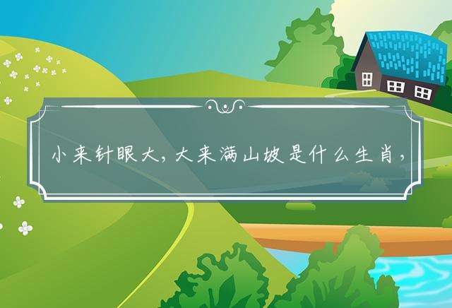 小来针眼大,大来满山坡是什么生肖，详细解释落实