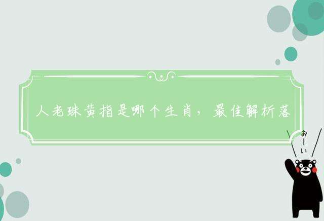 人老珠黄指是哪个生肖，最佳解析落实