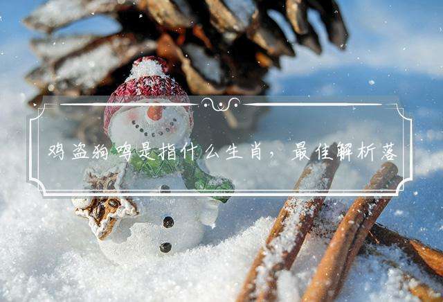 鸡盗狗鸣是指什么生肖，最佳解析落实