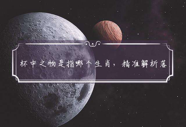 杯中之物是指哪个生肖，精准解析落实
