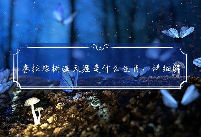 春拉绿树遍天涯是什么生肖，详细解析落实