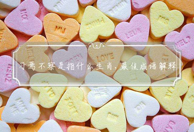 习焉不察是指什么生肖,最佳成语解释落实