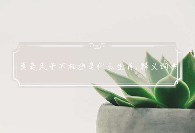 莫是天子不相迎是什么生肖,释义词典成语解释