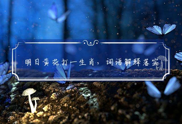 明日黄花打一生肖，词语解释落实