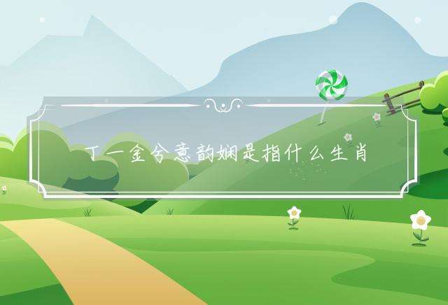 丁一金兮意韵娴是指什么生肖