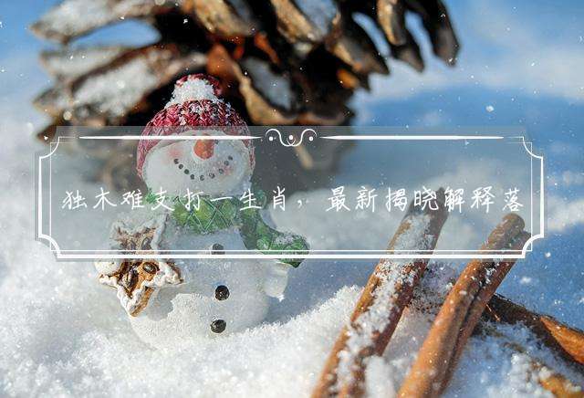 独木难支打一生肖，最新揭晓解释落实