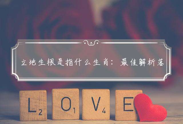 立地生根是指什么生肖：最佳解析落實
