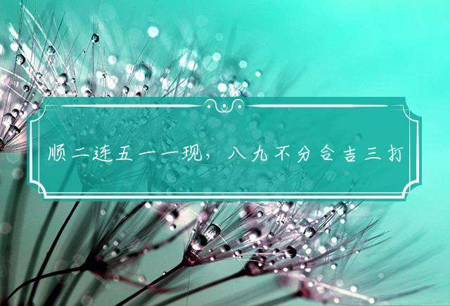 顺二连五一一现，八九不分合吉三打一最佳生肖：詳細解釋落實