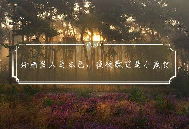 好酒男人是本色，夜夜歌笙是小康打—最佳生肖，详细解释落实