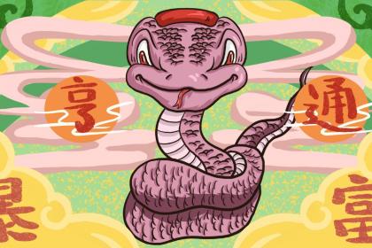 虎落平阳指打最佳什么生肖,词语解谜精选释义谜团揭晓