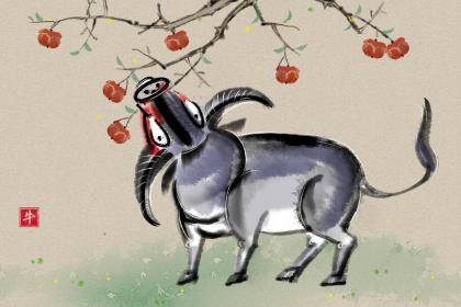 当午日明代表打什么生肖，精选解答最佳成语解密