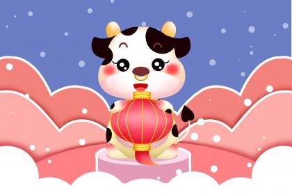 欲钱看蜘蛛拉网指打一个最佳生肖解谜!精选释义谜题解释!